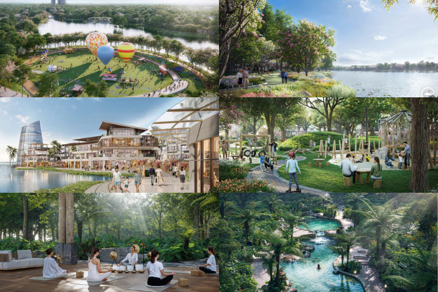 Eco Retreat